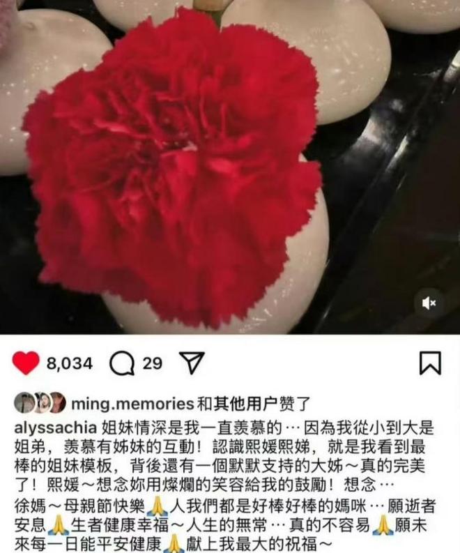 琪曝出小S请来众星追思姐姐看着太揪心！AYX爱游戏APP大S拔管细节被范玮(图3)