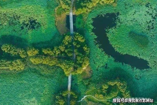 025楼盘评测-鹿溪雅园售楼中心详情户型 小区配套爱游戏(ayx)中国网站鹿溪雅园售楼处欢迎您 2(图38)