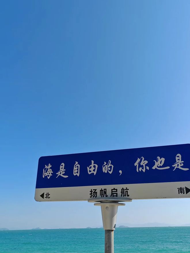度分析：哪家最适合亲子游潜水自由行需求爱游戏app网站手机版三亚旅游社前十深